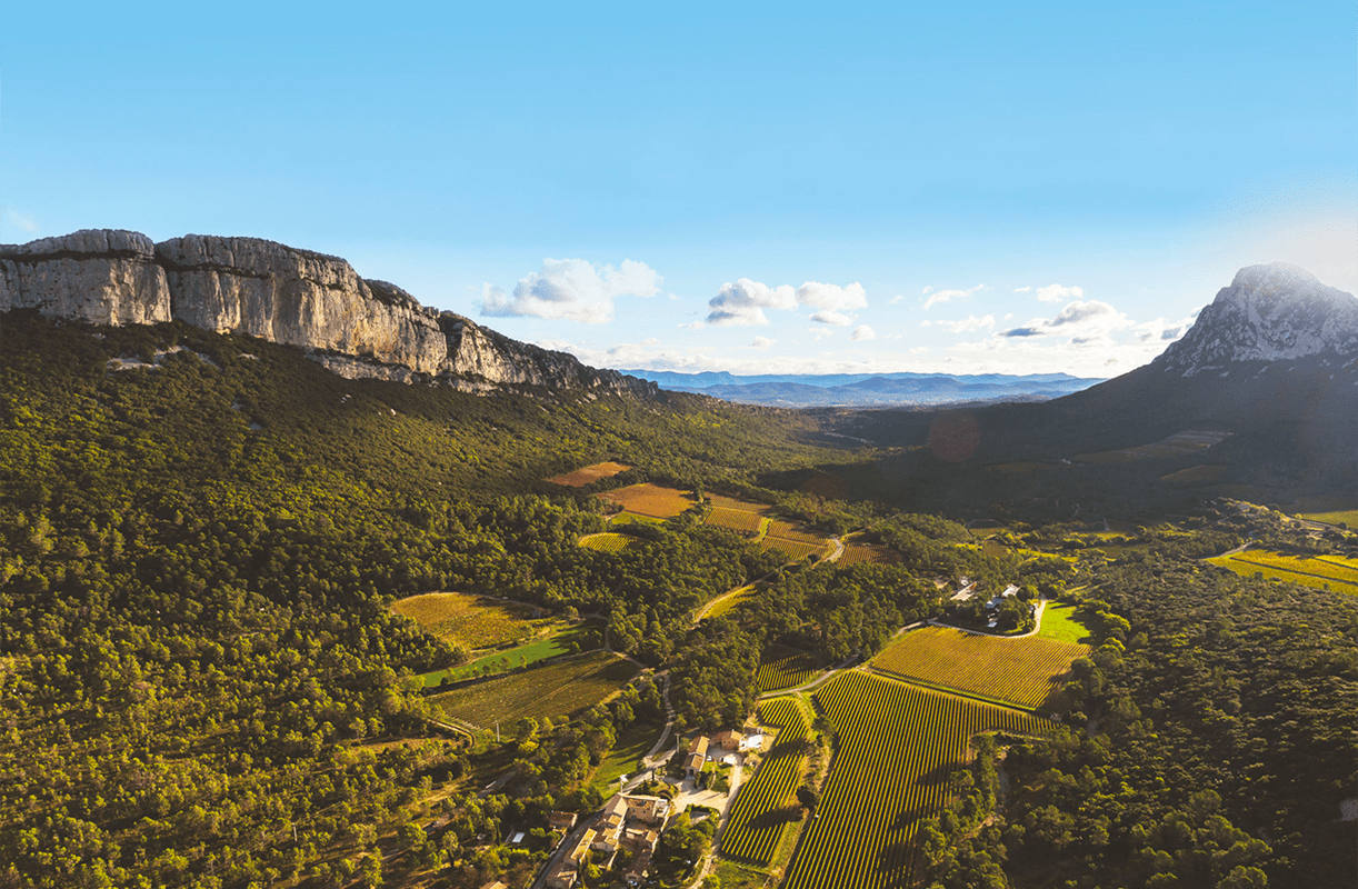 (c) Languedoc-wines.com