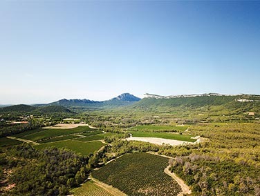 Paysage du Languedoc