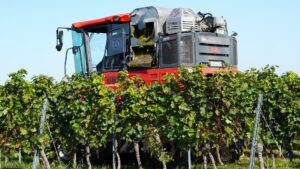 Les vendanges mécaniques, la technologie au service du viticulteur